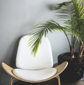 online_store_v2_product_2