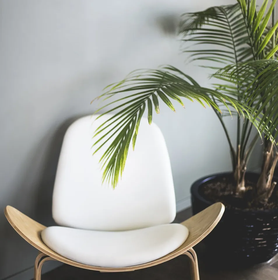 online_store_v2_product_2